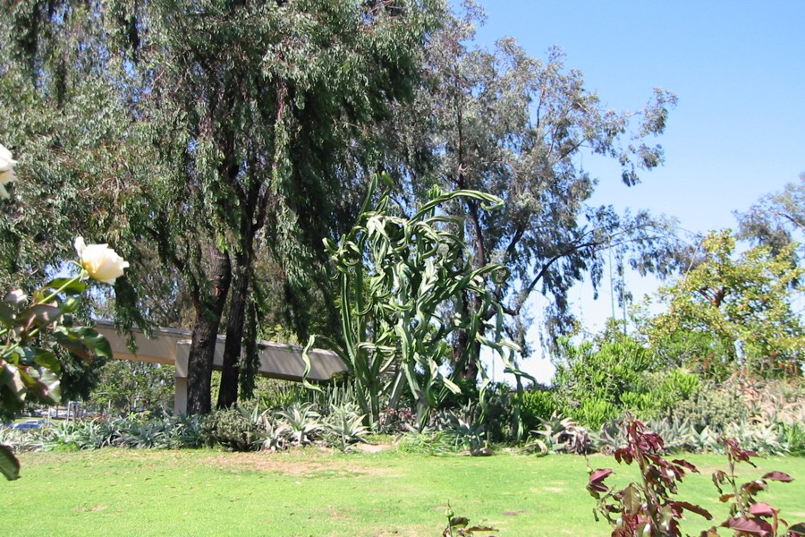 ../image/gardens at balboa park.jpg